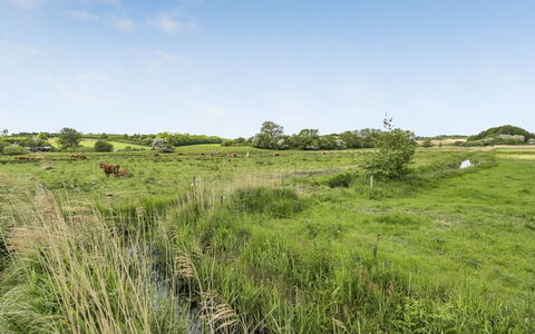 Sigbritt - 100M from the Sea: Sky, Grass, Grassland, Natural Environment, Green, Ecoregion, Vegetation, Natural Landscape, Cloud, Plain