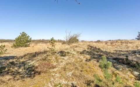 Ødke - 3.5Km from the Sea