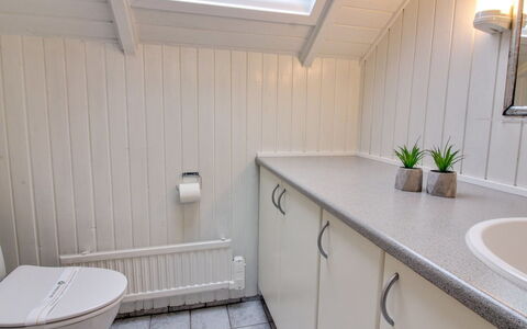 Sebiorn - 300M to the Fjord: Plumbing Fixture, Flooring, Sink, Bathroom, Floor, Tap, Interior Design, Plumbing, Bathroom Sink, Bathroom Cabinet