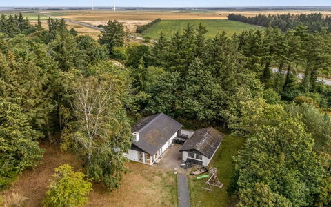 Naumka - 200M to the Fjord: Tree, Natural Environment, Landscape, Plain, Land Lot, Rural Area, Field, Aerial Photography, Plantation, Farm