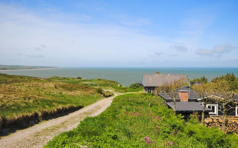 Ginny - 300M to the Fjord: Green, Vegetation, Natural Landscape, Shrub, Landscape, Coast, Land Lot, Ecoregion, Sea