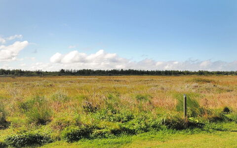 Neven - 900M from the Sea: Wood, Wood Stain, Plank, Hardwood, Cottage, Deck, Siding, Shade, Wood Flooring, Garden Buildings