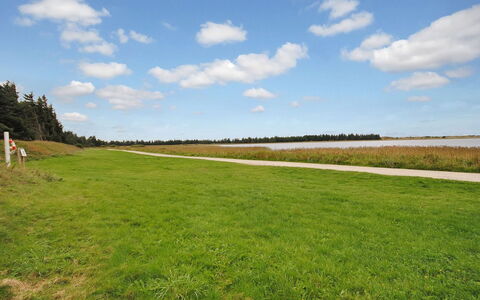 Sophia - 8Km from the Sea: Sky, Blue, Green, Grass, Natural Environment, Grassland, Cloud, Natural Landscape, Plain, Ecoregion