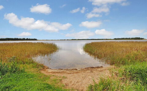 Sophia - 8Km from the Sea: Sky, Cloud, Water Resources, Body Of Water, Marsh, Natural Environment, Natural Landscape, Cumulus, Horizon