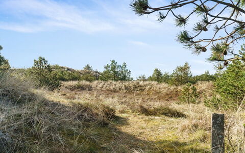 Eroll - 1.8Km from the Sea: Sky, Blue, Grass, Natural Environment, Vegetation, Natural Landscape, Grassland, Ecoregion, Shrub, Plant Community