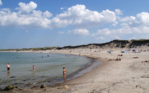 Eroll - 1.8Km from the Sea: Beach, Coast, Shore, Coastal And Oceanic Landforms, Sea, Sand, Ocean, Bay, Fun, Vacation