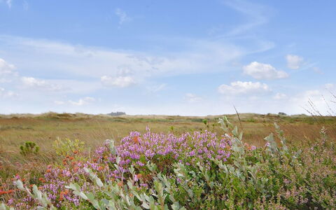 Margrethe - 1.1Km from the Sea: Residential Area, Roof, Suburb, Driveway, Estate, Chimney