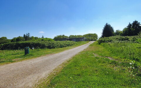 Eloise - 50M to the Fjord: Sky, Blue, Green, Grass, Vegetation, Natural Landscape, Grassland, Shrub, Summer