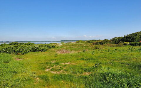 Eloise - 50M to the Fjord: Sky, Blue, Green, Grass, Grassland, Vegetation, Natural Landscape, Cloud, Horizon, Ecoregion