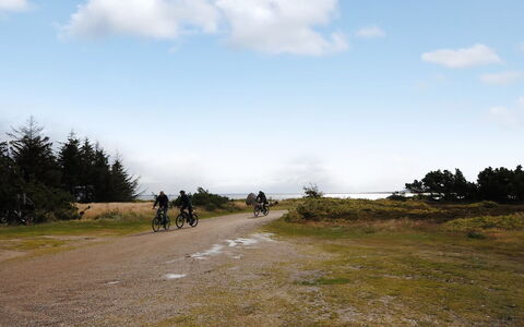 Eljas - 200M to the Fjord: 
