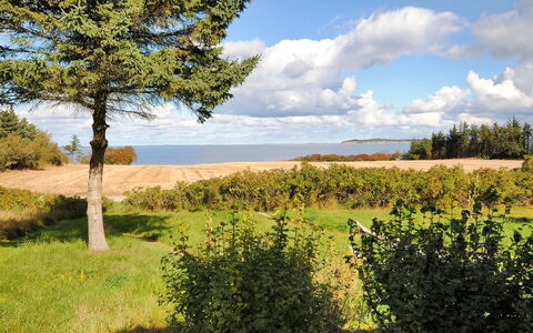 Kaleva - 200M to the Fjord: Sky, Blue, Green, Vegetation, Natural Landscape, Plain, Grassland, Ecoregion, Land Lot, Field