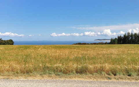 Kaleva - 200M to the Fjord: Blue, Grass, Cloud, Horizon, Grassland, Natural Landscape, Plain, Ecoregion, Field, Prairie