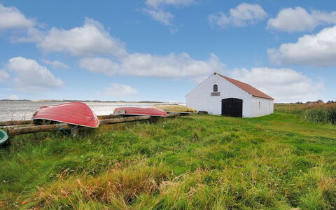 Kaleva - 200M to the Fjord: Grass, Grassland, Ecoregion, Land Lot, Rural Area, Plain, Cloud, Cottage, Barn, Meadow