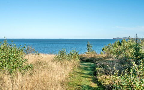 Thrine - 100M to the Fjord: Blue, Shrub, Cottage, Groundcover, Garden, Estate, Shade, Landscaping, Farmhouse, Eco Hotel