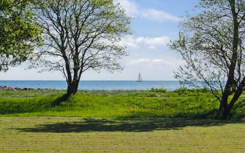 Elba - 100M from the Sea: Swimming Pool, Outdoor Furniture, Furniture, Resort, Flagstone, Eco Hotel, Shade, Chair, Leisure, Estate