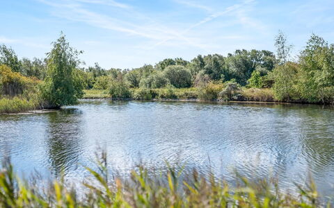 Milo - 5M from the Sea: Sky, Blue, Water, Water Resources, Body Of Water, Nature, Natural Environment, Green, Natural Landscape, Vegetation