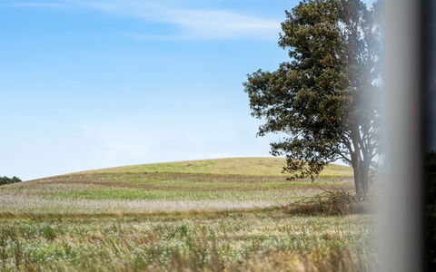 Hila - 900M from the Sea: Blue, Daytime, Grass, Green, Natural Environment, Natural Landscape, Grassland, Ecoregion, Plain, Horizon