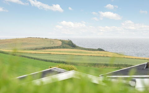 Alyna - 200M from the Sea: Sky, Blue, Green, Grass, Horizon, Natural Landscape, Grassland, Ecoregion, Landscape, Land Lot