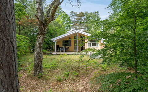 Ros - 350M from the Sea: Tree, Grass, Branch, Wood, House, Cottage, Home, Roof, Rural Area, Shrub