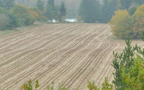 Piia - 800M from the Sea: Tree, Field, Plantation, Plain, Agriculture, Land Lot, Soil, Farm, Crop