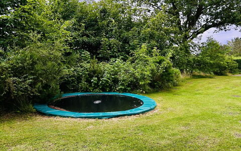 Swale - 500M from the Sea: Trampolining--Equipment And Supplies, Blue, Trampoline, Green, Trampolining, Garden, Shade, Lawn, Yard, Backyard