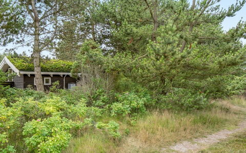 Alfi - 150M from the Sea: Wood, Roof, House, Cottage, Door, Home, Siding, Land Lot, Garden Buildings, Shed