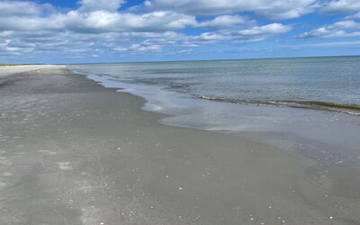Poul - 100M from the Sea
