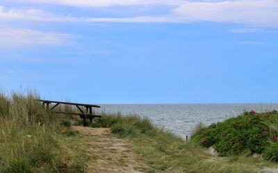 Berndt - 50M from the Sea