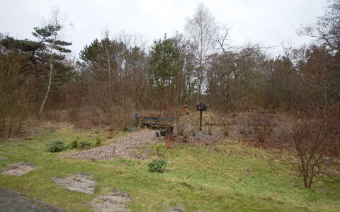 Runhild - 100M from the Sea: Shrub, Land Lot, Soil, Trail, Woodland, Path