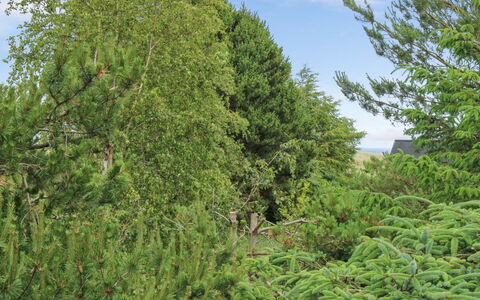 Flora - 150M from the Sea: Thatching, Cottage, House, Roof, Home, Farmhouse, Hut, Estate, Village