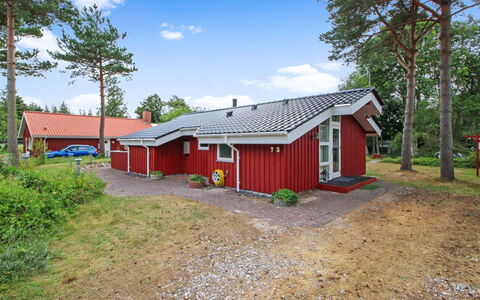 Edzard - 200M from the Sea: Thatching, Cottage, House, Roof, Home, Farmhouse, Hut, Estate, Village