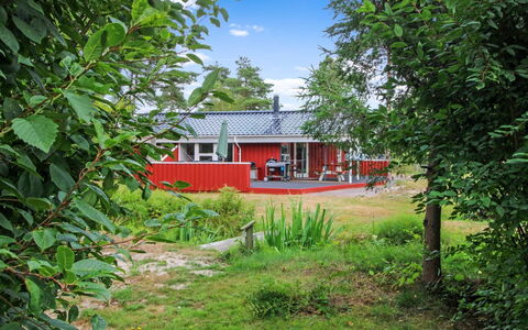 Edzard - 200M from the Sea: Thatching, Cottage, House, Roof, Home, Farmhouse, Hut, Estate, Village