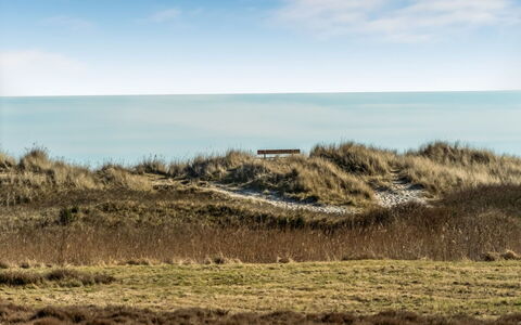 Jyrki - 100M from the Sea: Grass, Ecoregion, Horizon, Grassland, Sea, Plant Community, Coastal And Oceanic Landforms, Coast, Plain, Steppe