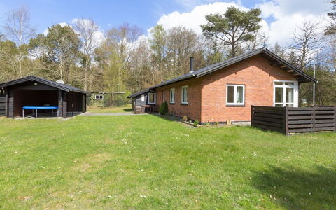 Eina - 250M from the Sea: Thatching, Cottage, House, Roof, Home, Farmhouse, Hut, Estate, Village