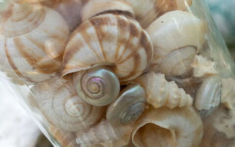 Annamie - 650M from the Sea: Natural Material, Food
