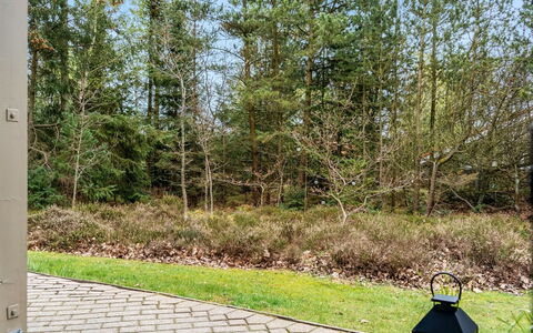 Merte - 300M from the Sea: Leaf, Tree, Branch, Vegetation, Shrub, Garden, Groundcover, Trunk, Woody Plant, Landscaping