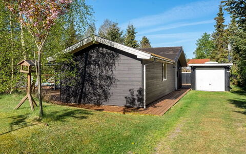 Eli - 1.4Km from the Sea: House, Home, Shrub, Roof, Residential Area, Cottage, Siding, Groundcover, Garden Buildings, Garden