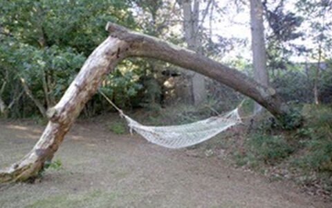Gaetana - 1.6Km from the Sea: Branch, Wood, Trunk, Woody Plant, Forest, Nature Reserve, Twig, Jungle, Woodland