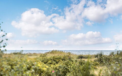 Mumme - 100M from the Sea: Sky, Blue, Cloud, Daytime, Natural Environment, Horizon, Vegetation, Ecoregion, Summer, Cumulus