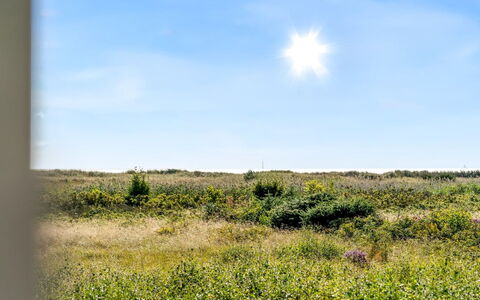 Mumme - 100M from the Sea: Sky, Blue, Daytime, Green, Grass, Natural Environment, Grassland, Vegetation, Ecoregion, Natural Landscape