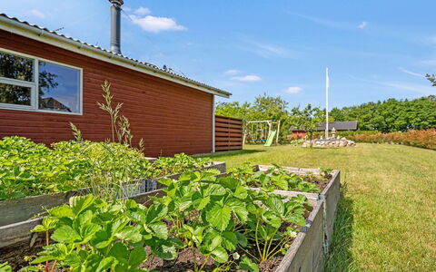 Mina - 1.4Km from the Sea: Green, Shrub, Land Lot, Garden, Groundcover, Landscaping, Soil, Garden Buildings, Yard, Plantation