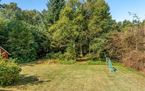 Ane - 1.7Km from the Sea: Grass, Leaf, Shrub, Land Lot, Garden, Groundcover, Lawn, Sunlight, Shade