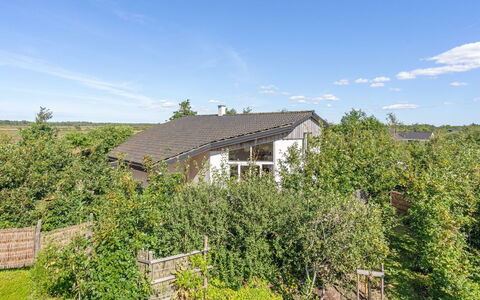 Ullvi - 3.8Km from the Sea: Grass, Grassland, Landscape, Ecoregion, Plain, Plant Community, Land Lot, Outdoor Furniture, Prairie, Shrubland