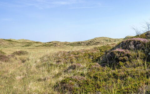 Marjon - 400M from the Sea: Roof, Home, Door, Cottage, Shade, Siding, Yard, Estate, Backyard
