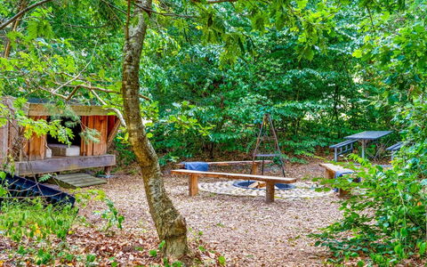 Adam - from the Sea: Tree, Nature, Natural Environment, Leaf, Wood, Forest, Plant Community, Woodland, Nature Reserve