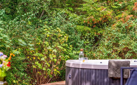 Adam - from the Sea: Shrub, Bathtub, Garden, Outdoor Furniture, Jacuzzi, Landscaping, Backyard, Swimming Pool, Plumbing Fixture