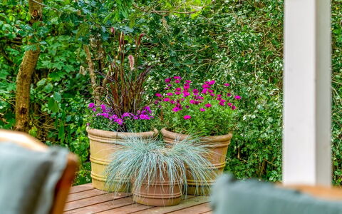 Adam - from the Sea: Green, Flowerpot, Shrub, Garden, Spring, Houseplant, Wood Stain, Hardwood, Plank