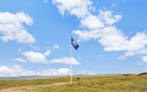 Soraya - 700M to the Fjord: Blue, Grass, Natural Environment, Nature, Flag, Grassland, Ecoregion, Summer, Landscape, Plain