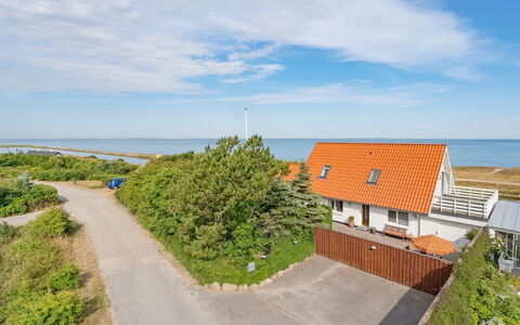 Yorrick - 50M to the Fjord