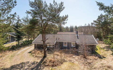 Sighbiorn - 950M from the Sea: Blue, Shrub, Cottage, Groundcover, Garden, Estate, Shade, Landscaping, Farmhouse, Eco Hotel
